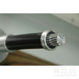 西安絕緣導線 技術賦能，守護古城電力安全